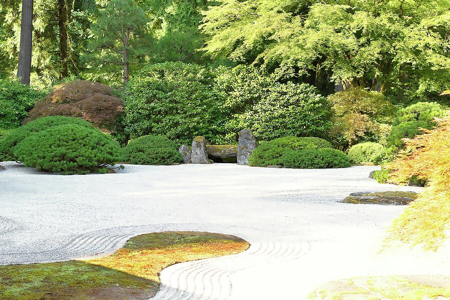 Flat Garden ZEN Bench Photograph by David Barker - Fine Art America