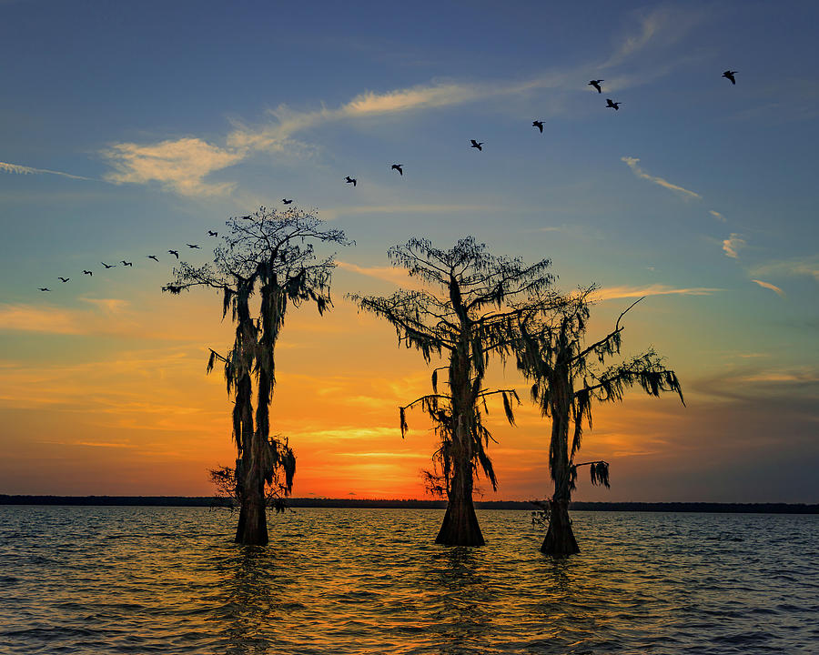 Flat Lake Sunset Photograph by Tim Stanley