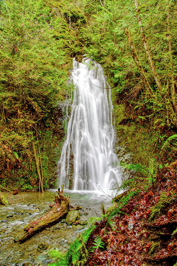 Flattery Creek Falls Photograph by Loyd Towe Photography