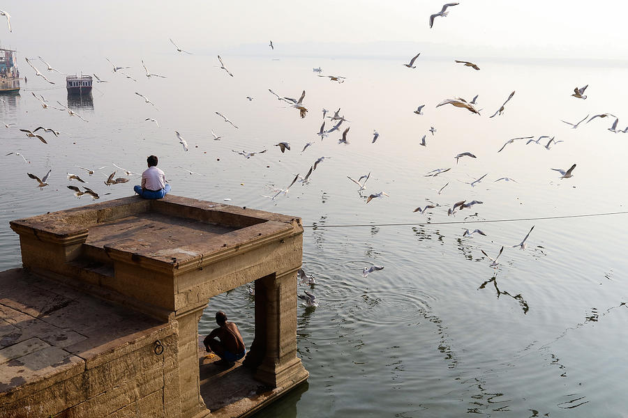 Flaying Gulls At Early Morning In Varanasi Photograph by Dilwar Mandal