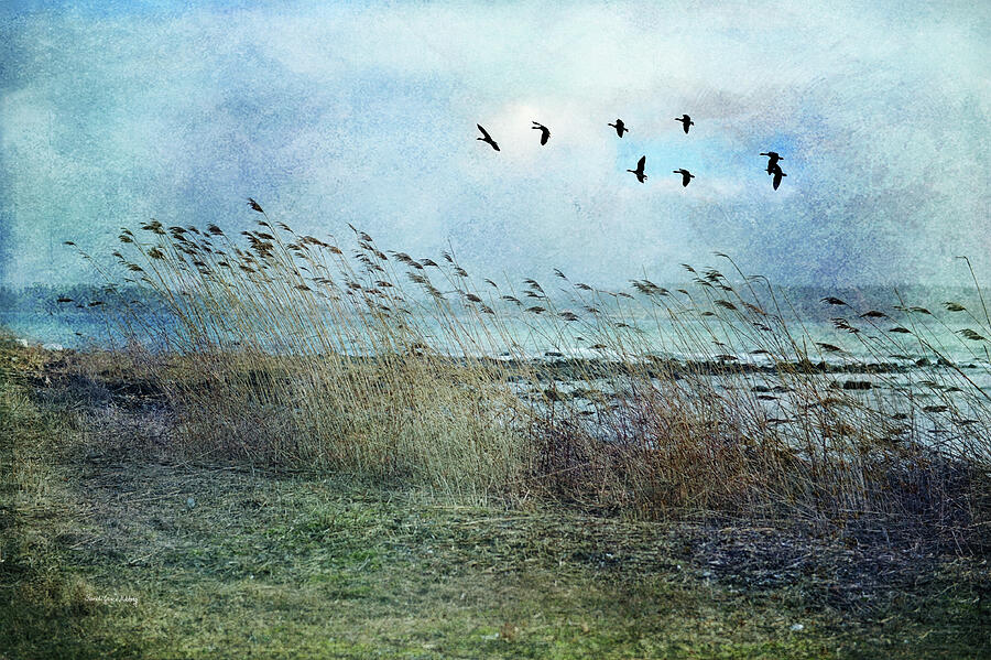 Fleeting Moment of Summer Photograph by Randi Grace Nilsberg Fleeting Moment of Summer Photograph by Randi Grace Nilsberg