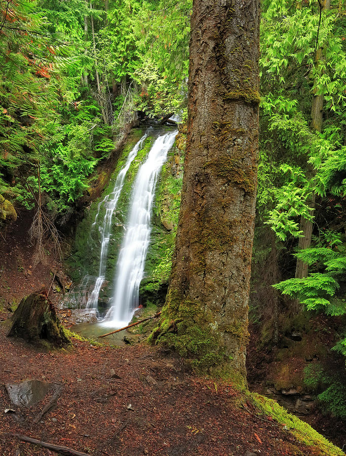 Fletcher Falls Photograph by Marvin Beatty