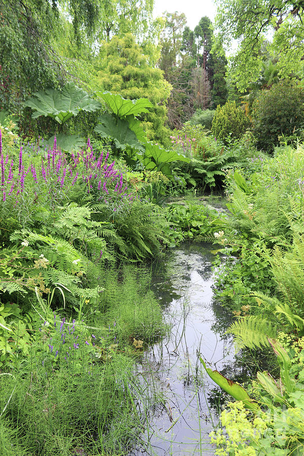 Fletcher Moss Botanic Gardens, Manchester, England Photograph by ...