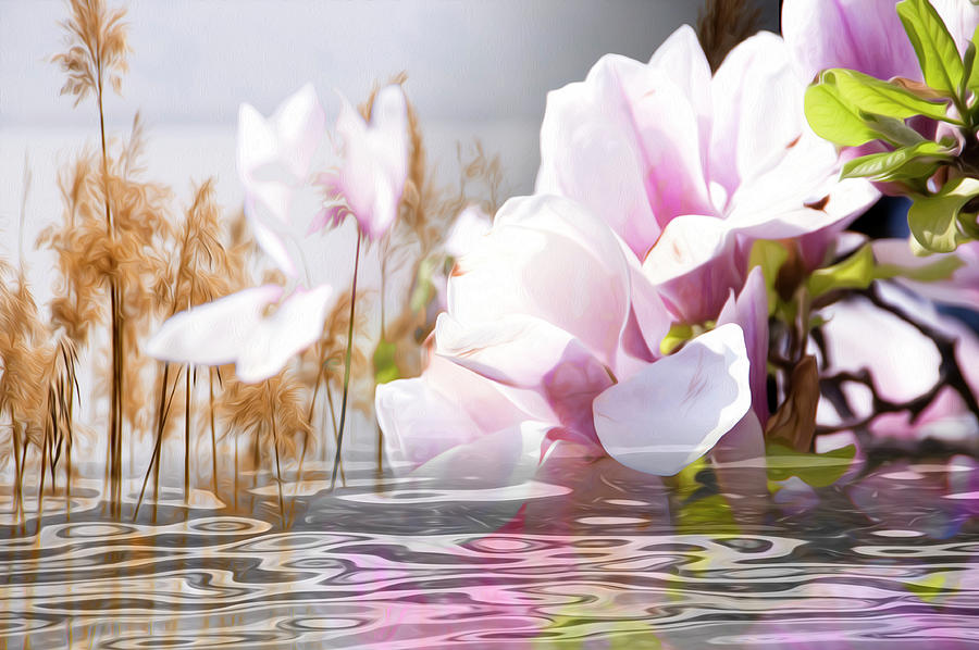 Impressionism Photograph - Fleur au Lac by Mary Mansey