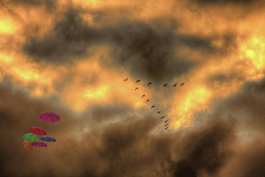 Flight in a Golden sky Photograph by Wayne King