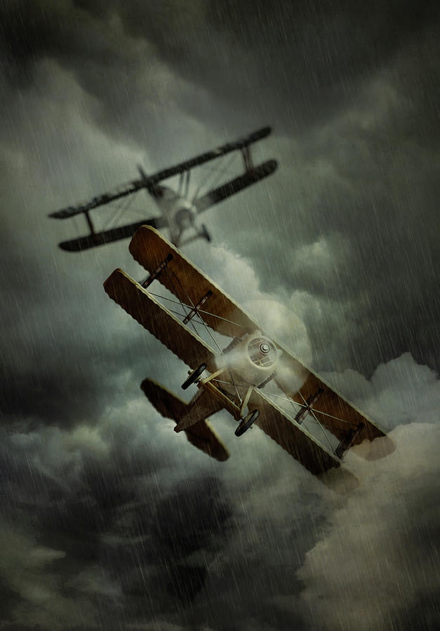 Flight in the storm Digital Art by Jaroslaw Blaminsky