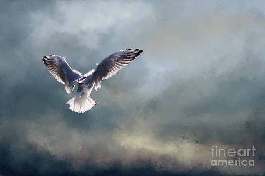 Seagull Photograph - Flight Into the Light by Eva Lechner