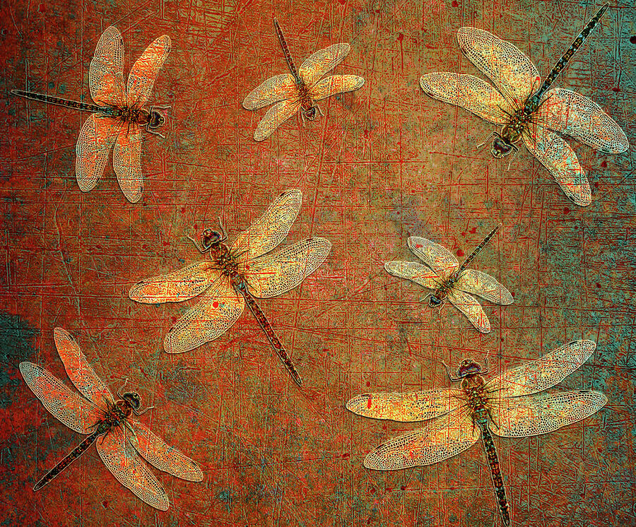 Flight of Dragonflies on Distressed Orange and Green Background Digital Art by Freddy B Flight of Dragonflies on Distressed Orange and Green Background Digital Art by Freddy B