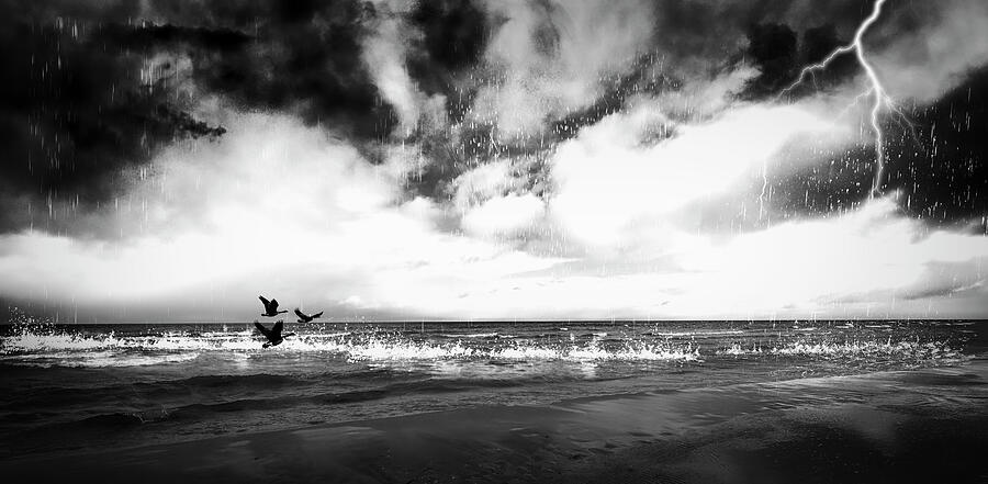 Flight Of Ducks In Inclement Day Special Feature in Camera Art Photograph by Aleksandrs Drozdovs