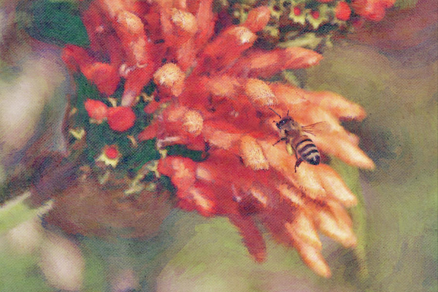 Flight of Honeybee to Lions Tail Flowers Digital Art by Gaby Ethington
