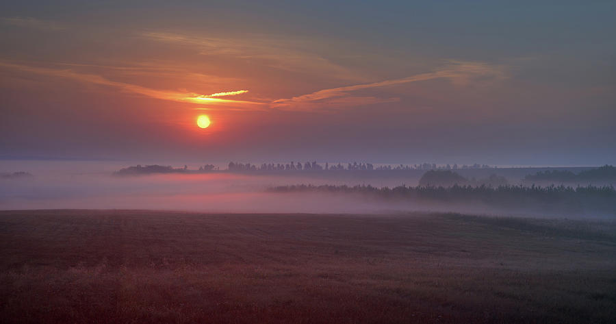 Flight Of The Dawn Over The Fog Photograph