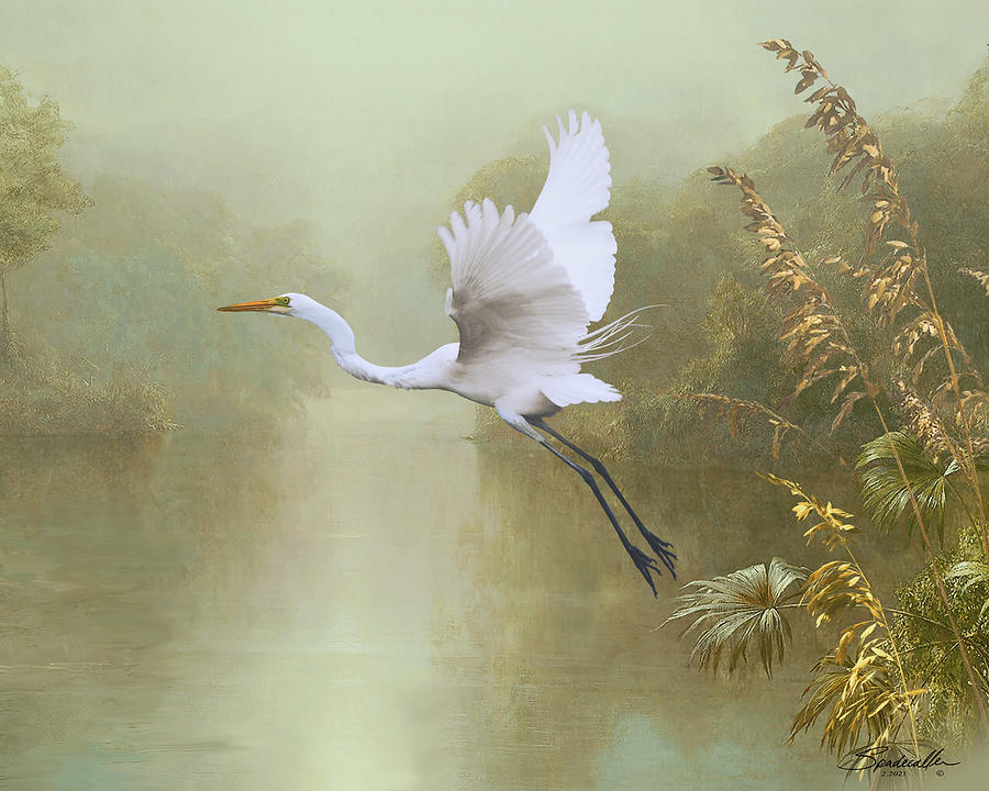Flight of the Great White Heron  Digital Art by Spadecaller
