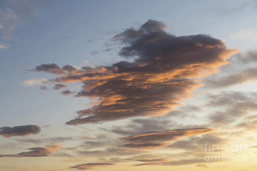 Cloud at sunset, like a bird Photograph by Adriana Mueller