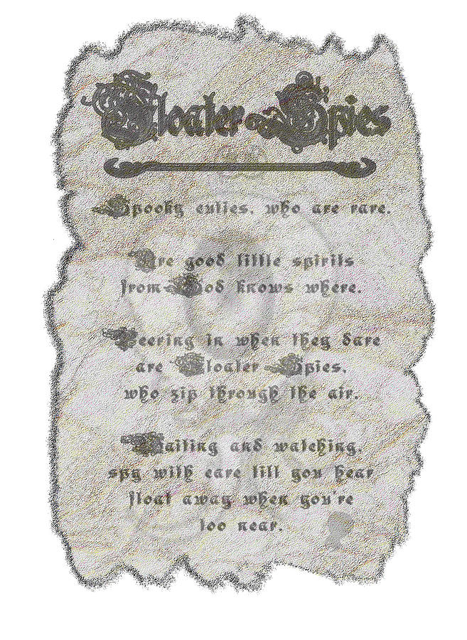 Floater Spy Sandstone Poem Poster Digital Art by Delynn Addams