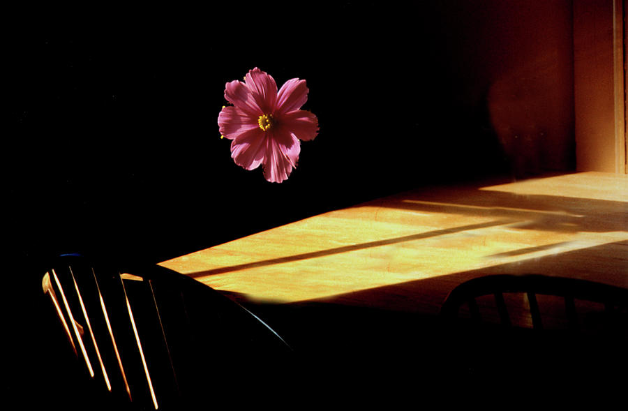 Floating Flower Mindscape Photograph by Wayne King