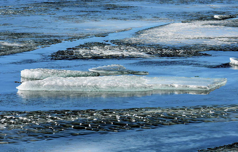 Floating Ice 15  Photograph by Lyle Crump