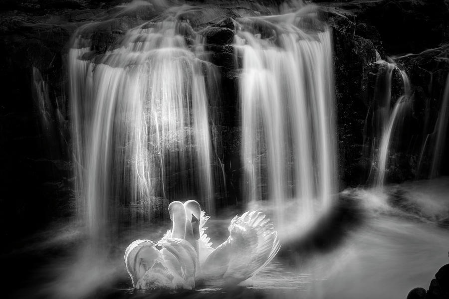 Floating in Sunlight under the Falls Black and White Photograph by Debra and Dave Vanderlaan