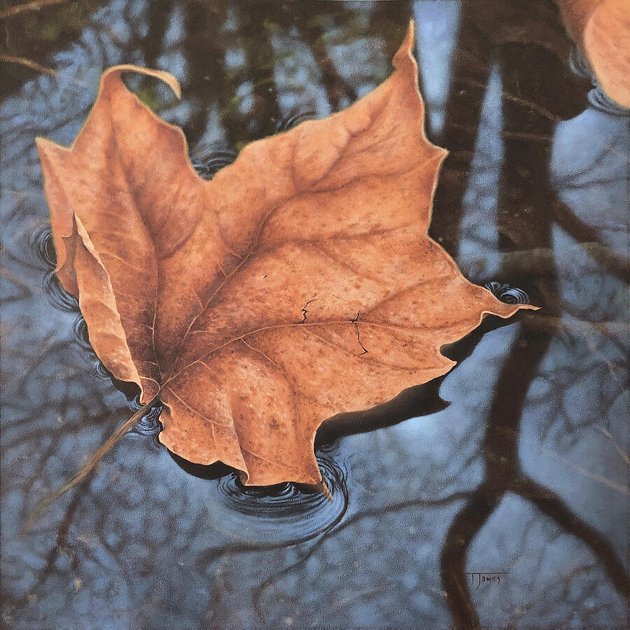 Floating Leaf Painting by Timothy Jones Floating Leaf Painting by Timothy Jones