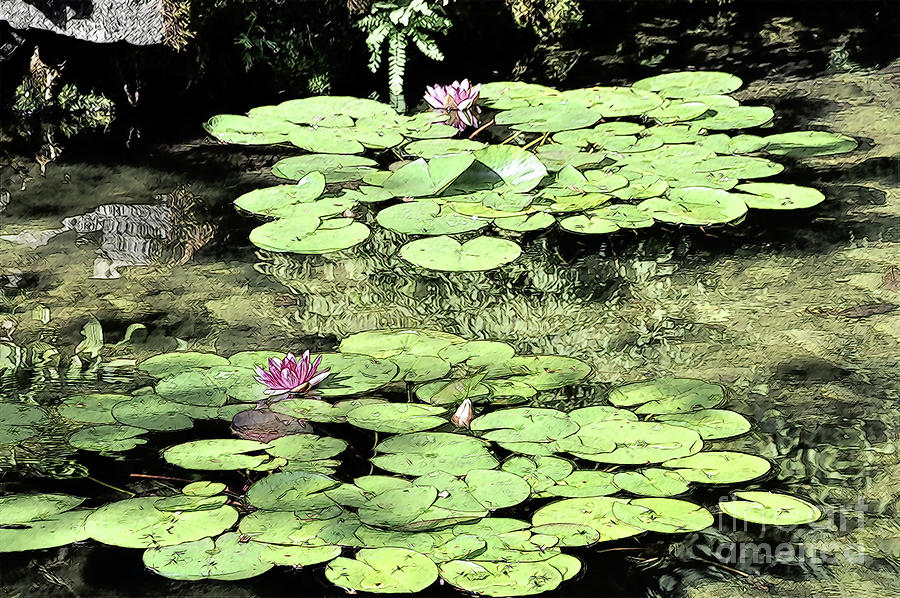 Floating Lily Pads Digital Art by Kirt Tisdale