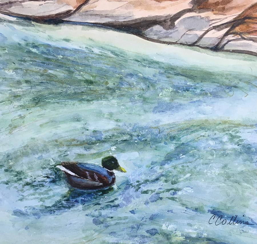 Floating Mallard Painting by Cathy Delnore Collins | Fine Art America