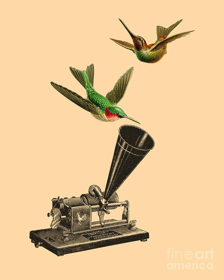 Bird Digital Art - Floating Music by Madame Memento