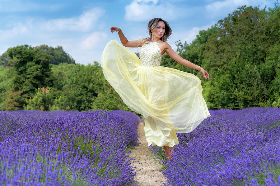 Floating on the lavender Photograph by Andrew Lalchan