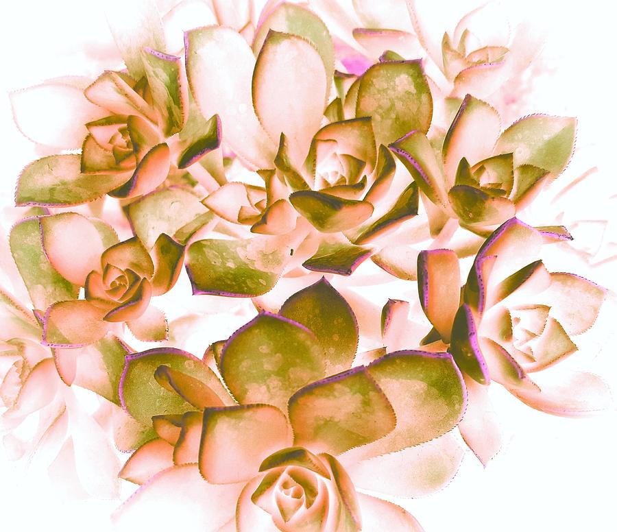 Floating Roses Digital Art by Loraine Yaffe