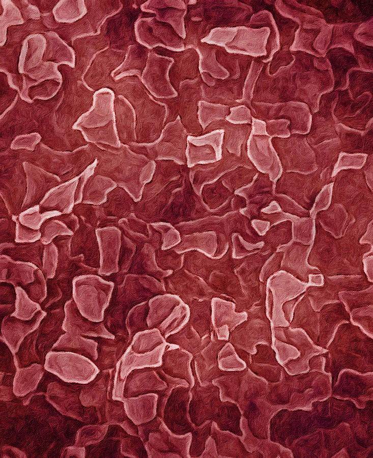 Floating Shards - Red Digital Art by Leslie Montgomery