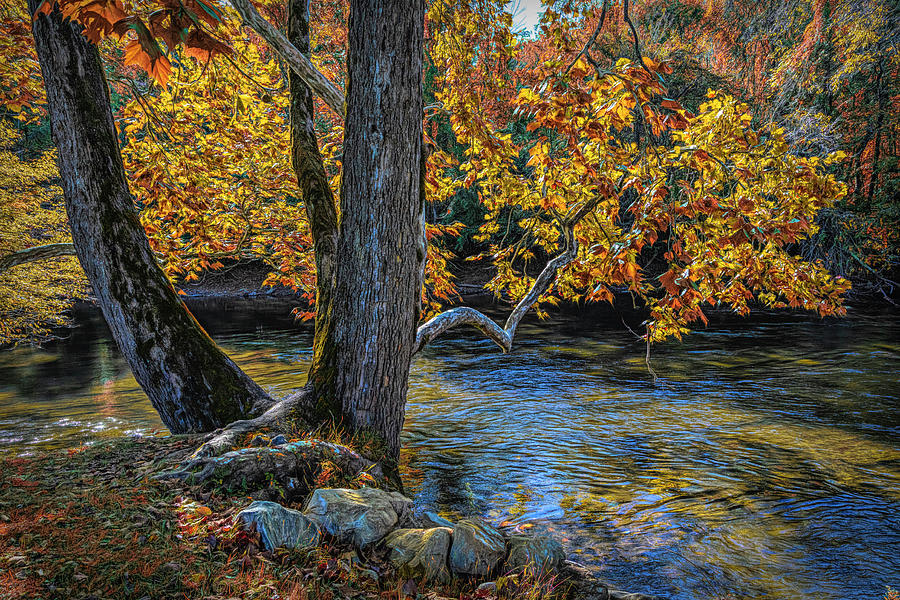 Floating Slowly Past Blue Ridge Mountains Autumn Stream Photograph by Debra and Dave Vanderlaan