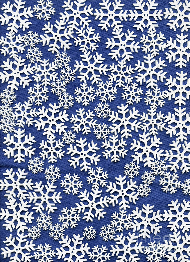 Floating Snowflakes Digital Art by Norma Appleton