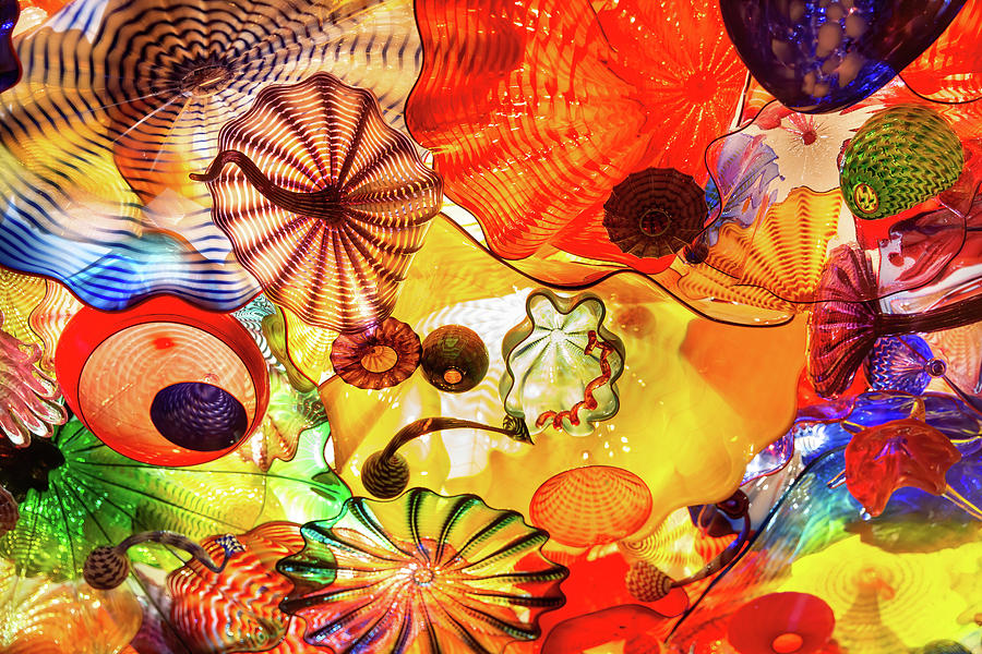 Still Life Photograph - Floating Through a Sea of Color by Quin DeVarona