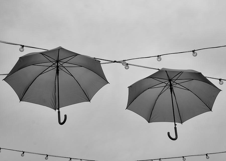 Floating Unbrellas Photograph by Robert Wilder Jr