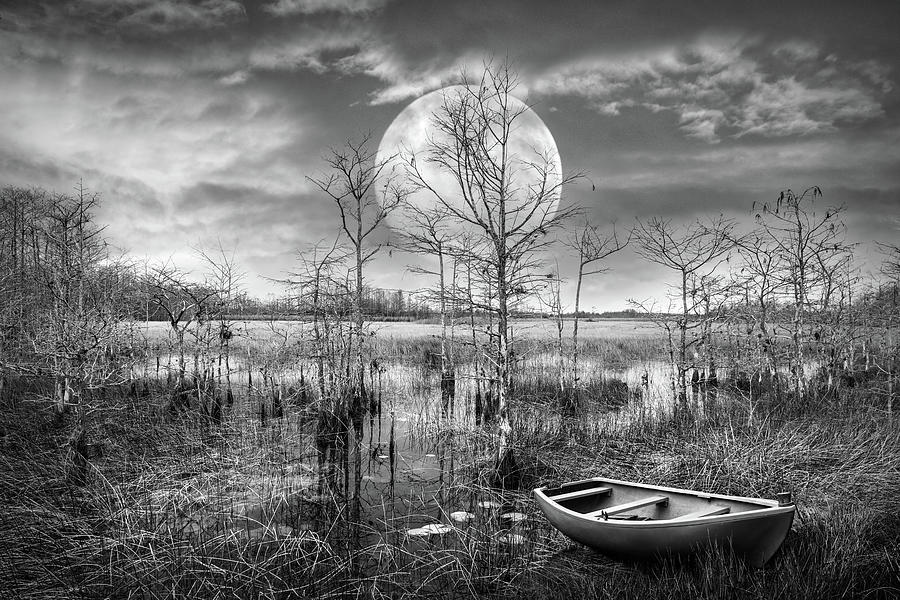 Floating Under the Full Moon in Black and White Photograph by Debra and Dave Vanderlaan