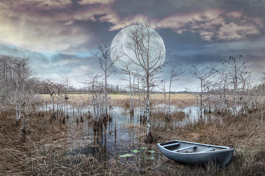 Floating Under the Soft Moon Photograph by Debra and Dave Vanderlaan