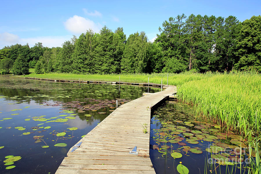 Floating Walkway along Lake Shore Photograph by Taina Sohlman - Fine ...