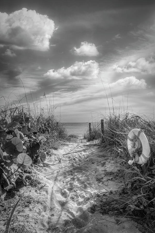 Floating White Dune Clouds Black and White Photograph by Debra and Dave ...