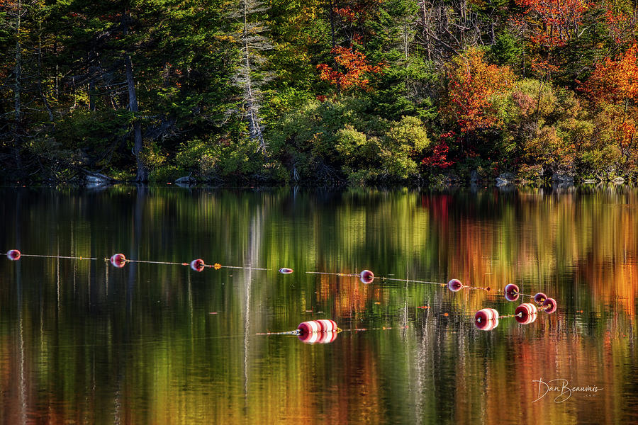Floats On Autumn Lake #5978 Photograph