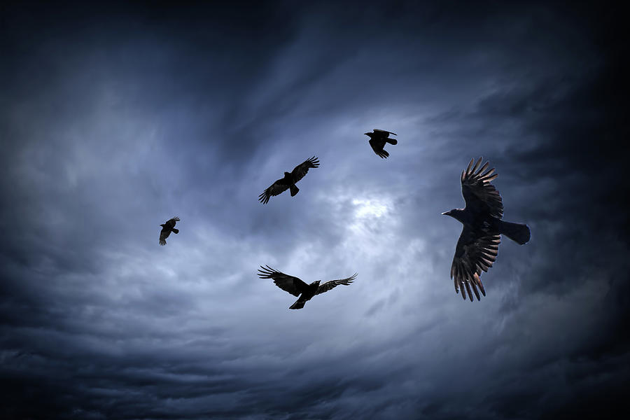 Flock of Crows in a Stormy Sky Photograph by Randall Nyhof