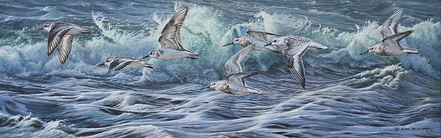 Flock of Sanderling Painting by Alan M Hunt