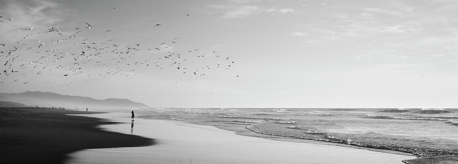 Flock of seagulls flying above a woman on the beach, San Francisco, California, USA Photograph by Panoramic Images