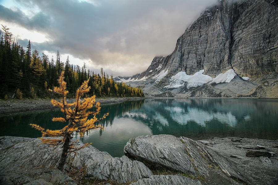 Floe Lake Fall Photograph by CH Squared Photo | Fine Art America