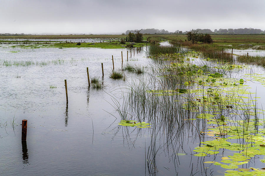 Flooded Fields Photograph by Rob Hemphill
