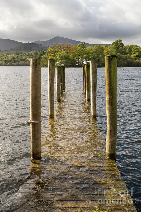 Flooded jetty Derwentwater Photograph by Bryan Attewell