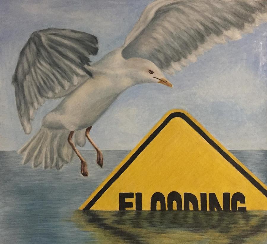 Seagull Drawing - Flooding by Alisa Higuchi 11th grade by California Coastal Commission