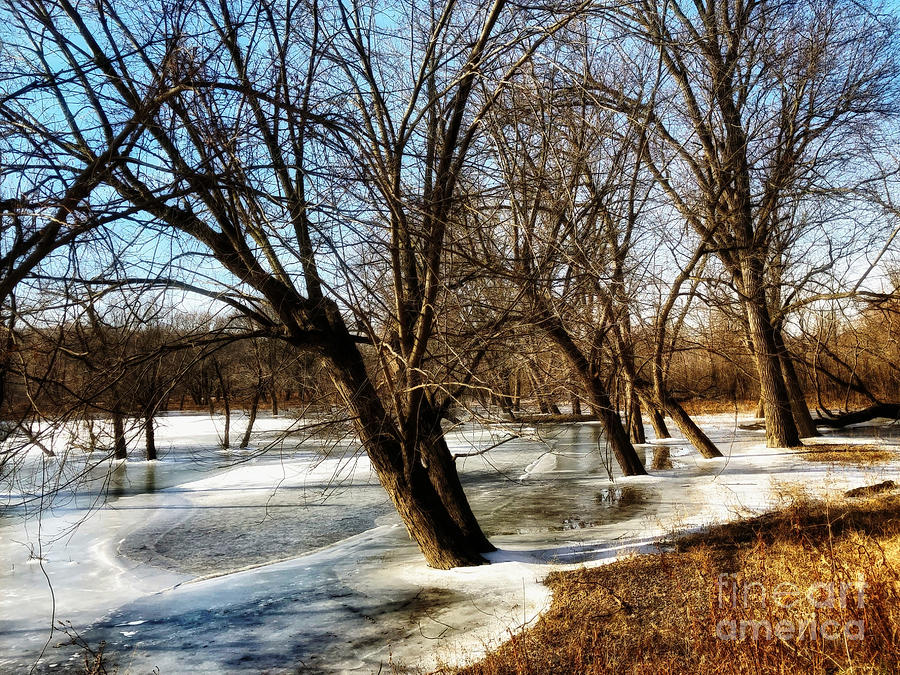 Flooding-Frozen Photograph by Kathy M Krause