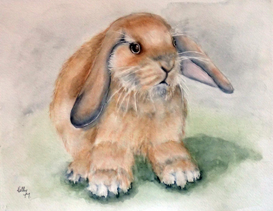 Floppy Ear Bunny Painting by Kelly Mills