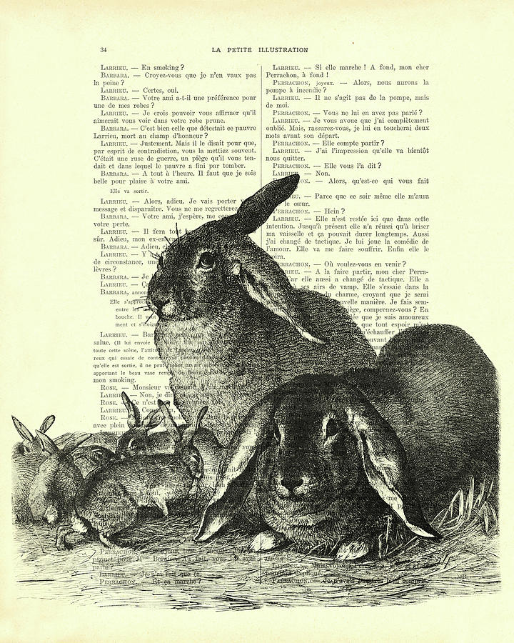 Wildlife Digital Art - Floppy eared bunny family, Easter art by Madame Memento