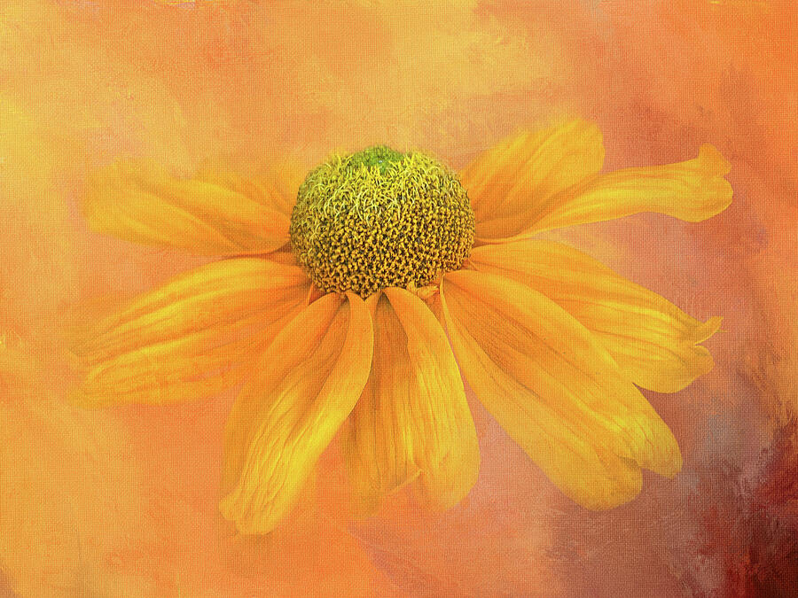 Summer Digital Art - Floppy Yellow Flower by Terry Davis