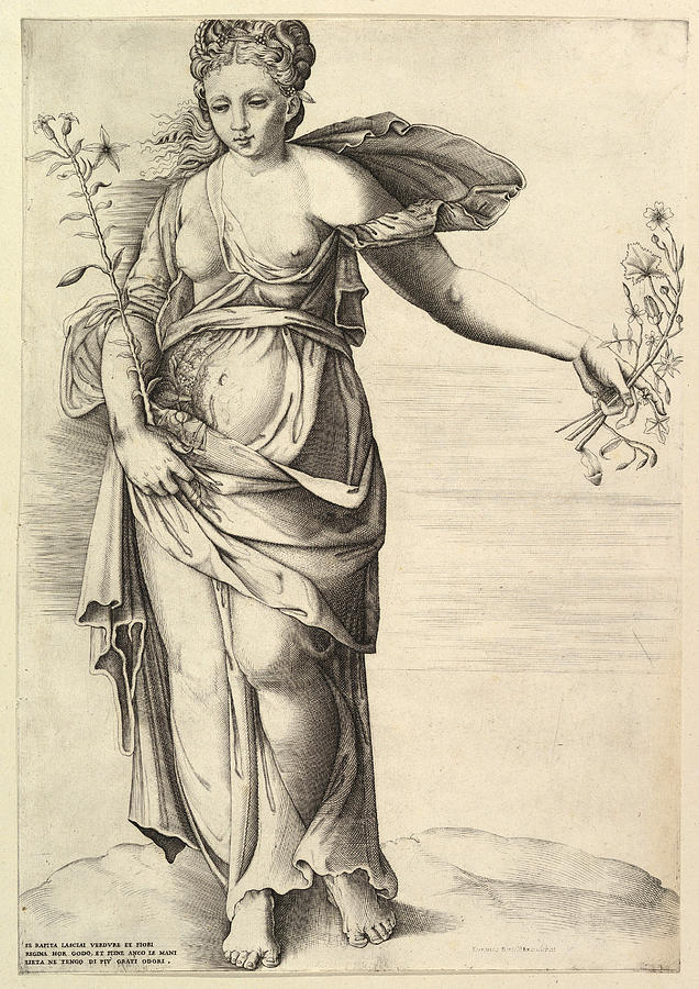 Flora Drawing by Anonymous