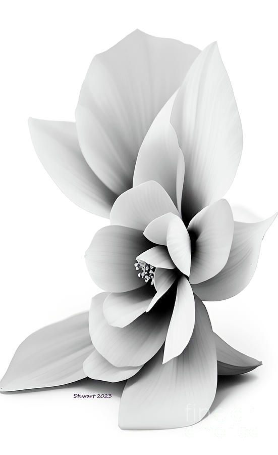 Floral Abstract Elegance Digital Art by Dr Debra Stewart